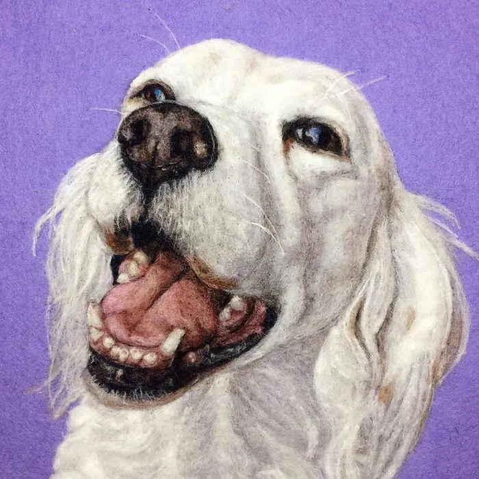 Artist Uses Needle And Wool To "Paint" Realistic Portraits Of Animals
