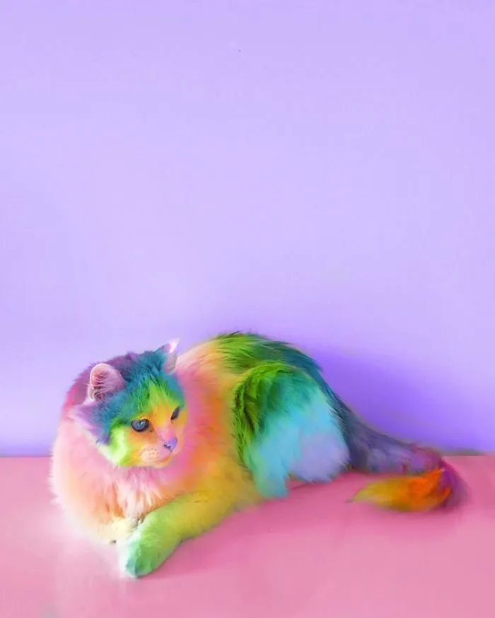 New York Artist Covers Pictures In Rainbows Because Everything Is Better With Lots Of Color