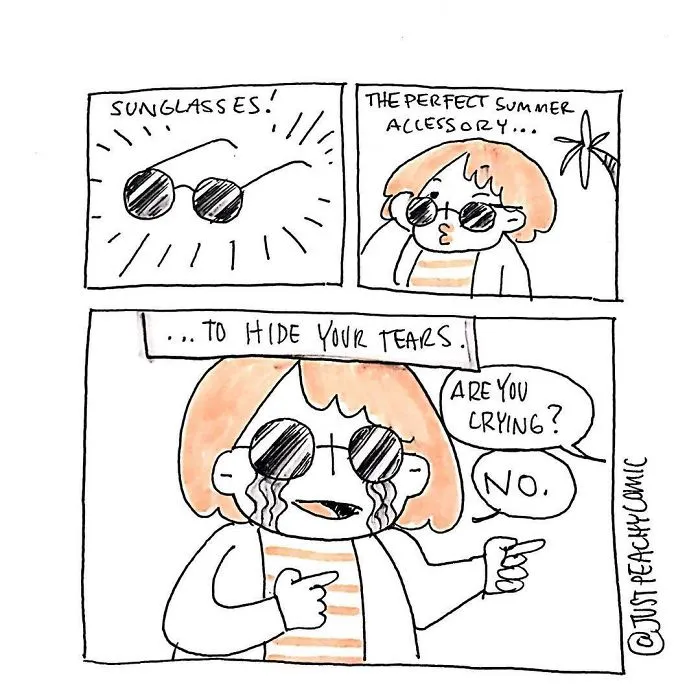 132 Funny Comics About Summer Problems That Almost Everyone Will Relate To