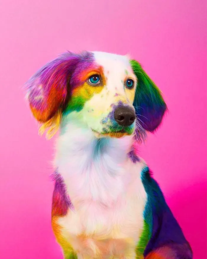 New York Artist Covers Pictures In Rainbows Because Everything Is Better With Lots Of Color