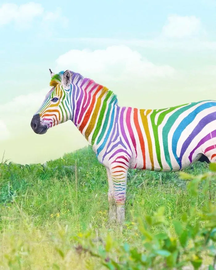 New York Artist Covers Pictures In Rainbows Because Everything Is Better With Lots Of Color