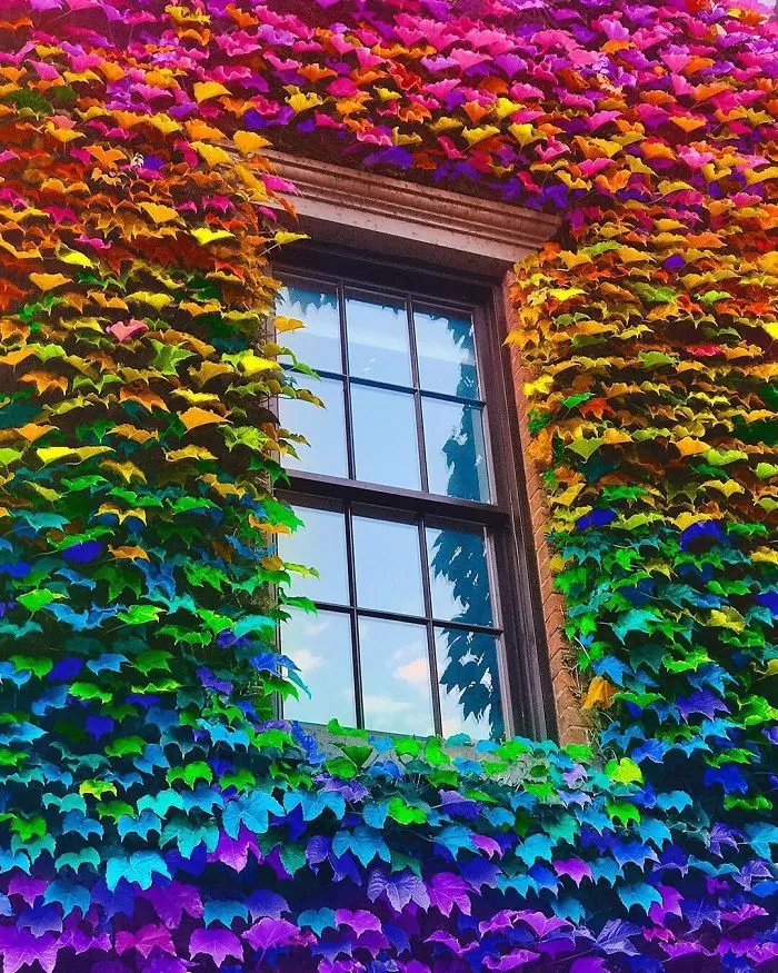 New York Artist Covers Pictures In Rainbows Because Everything Is Better With Lots Of Color