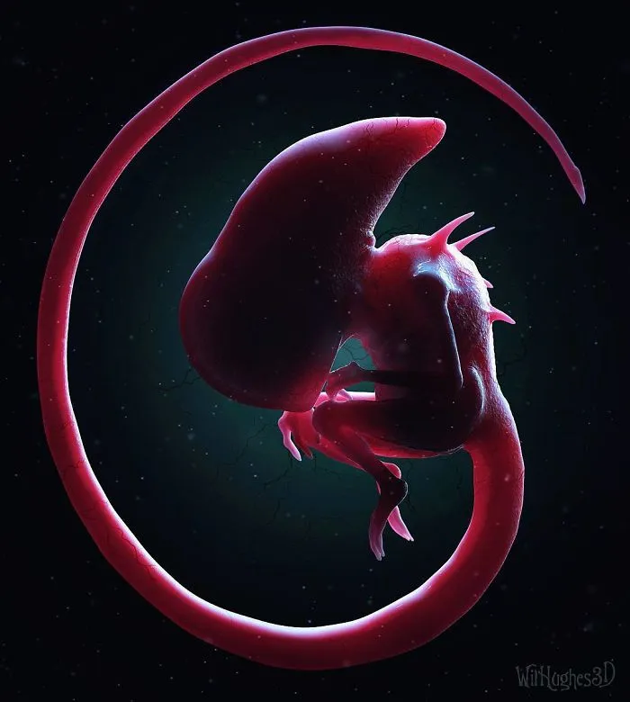 Neomorph