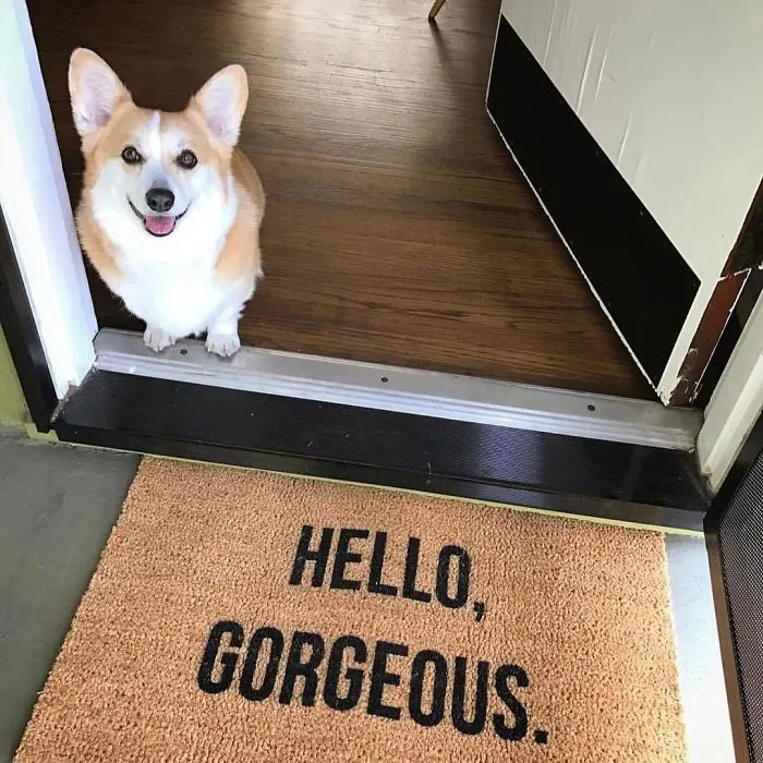 48 Creative And Hilarious Doormats That Will Make You Look Twice