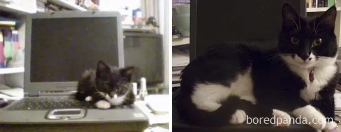 Antes y ahora