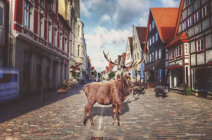 City Life