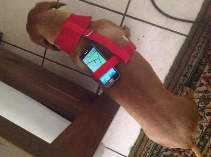 Hacks Used By Pokemon Go Players Will Make You Laugh