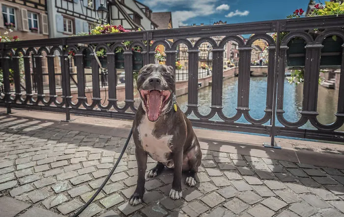 Colmar, France
