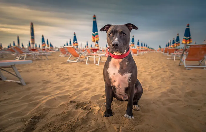 Bibione, Italy