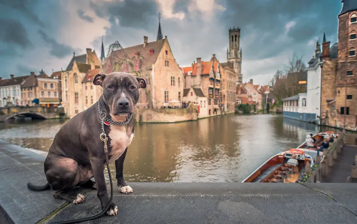 Bruges, Belgium