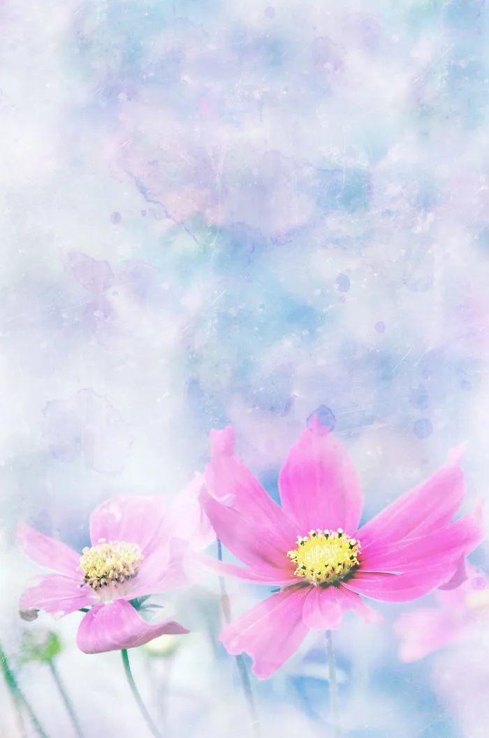 My World Is Somewhere Between Painting And Photography.