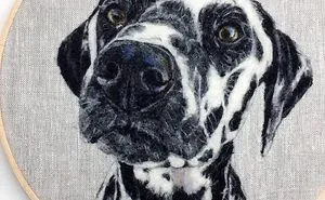 Artist Uses Needle And Wool To "Paint" Realistic Portraits Of Animals