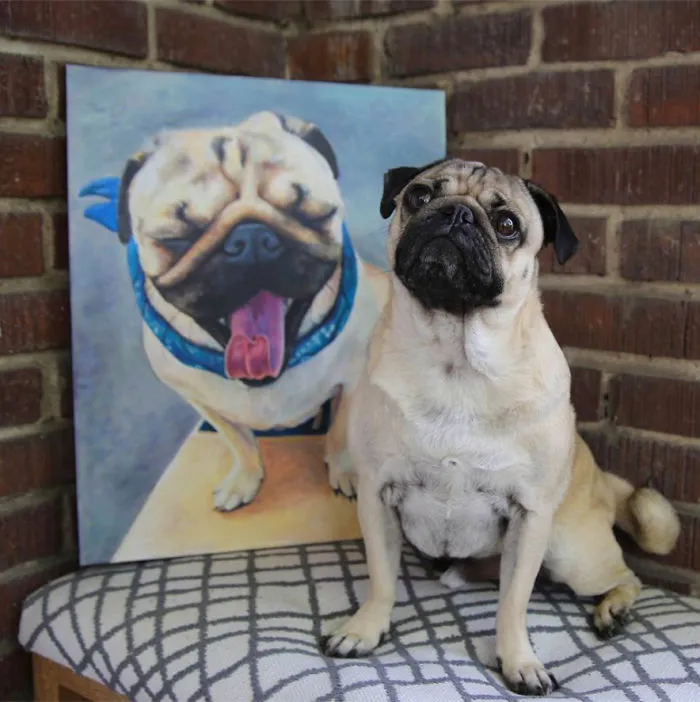 Doug The Pug