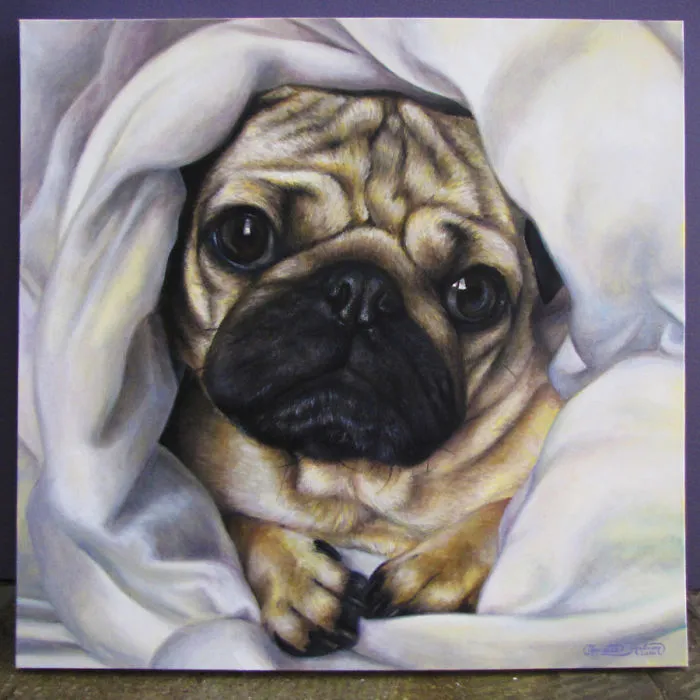Doug The Pug