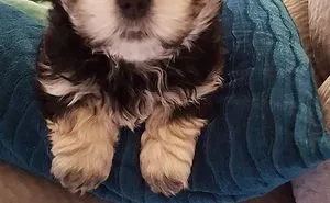 First Time Poster..