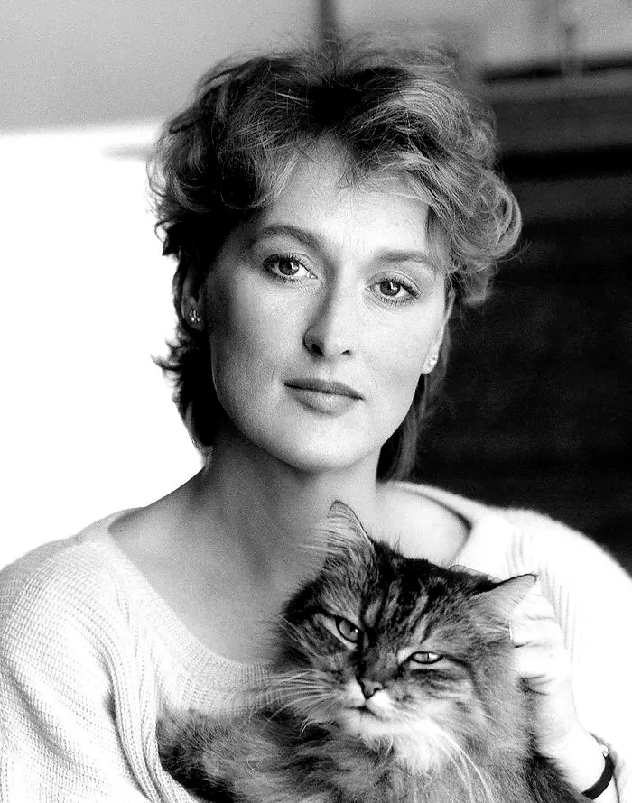 Meryl Streep