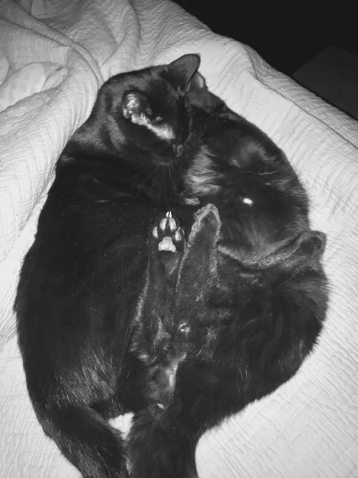 Sibling Love