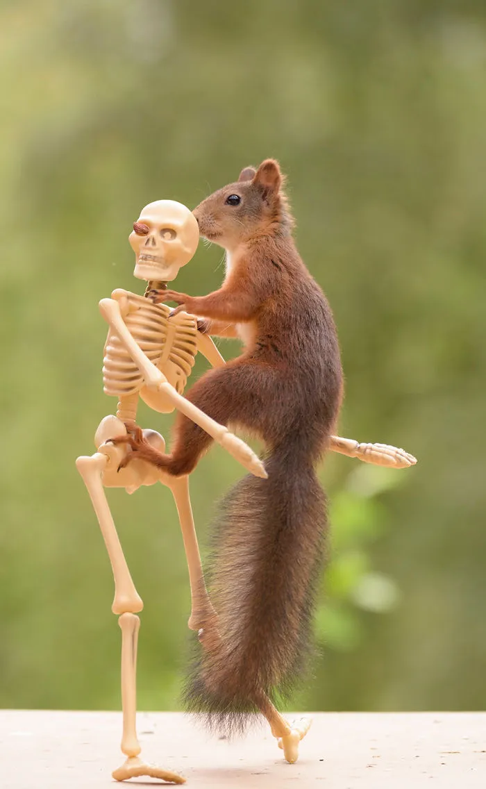 Battle With The Dead