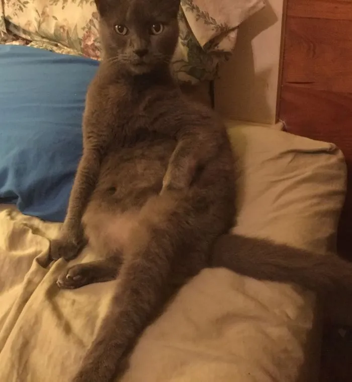 Keeping My Spot Warm Or....