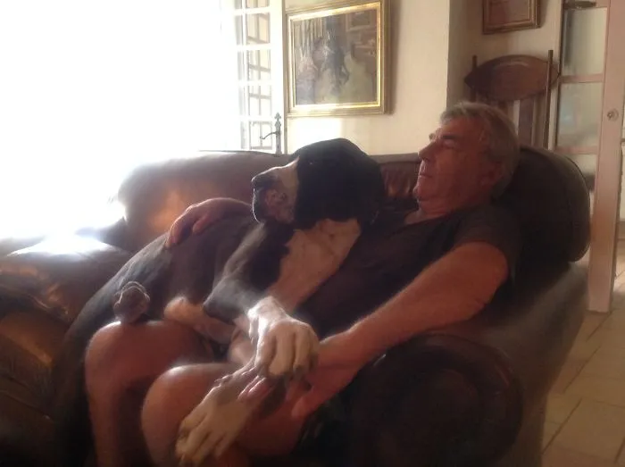 Isabelle Our Dane Watching Tv With Dad.