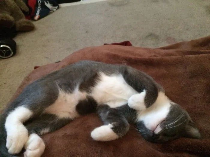 Carl Growing Up :)