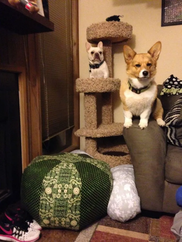 2 Peas In A Pod