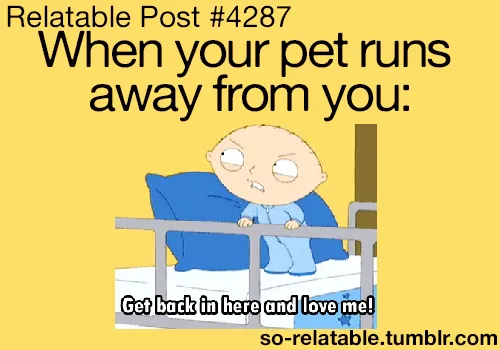 Relatable Post Pt 3