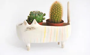 Our Ceramic Pots For Nature And Animal Lovers