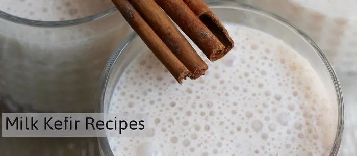Milk Kefir Recipes To Get You Started With Milk Kefir