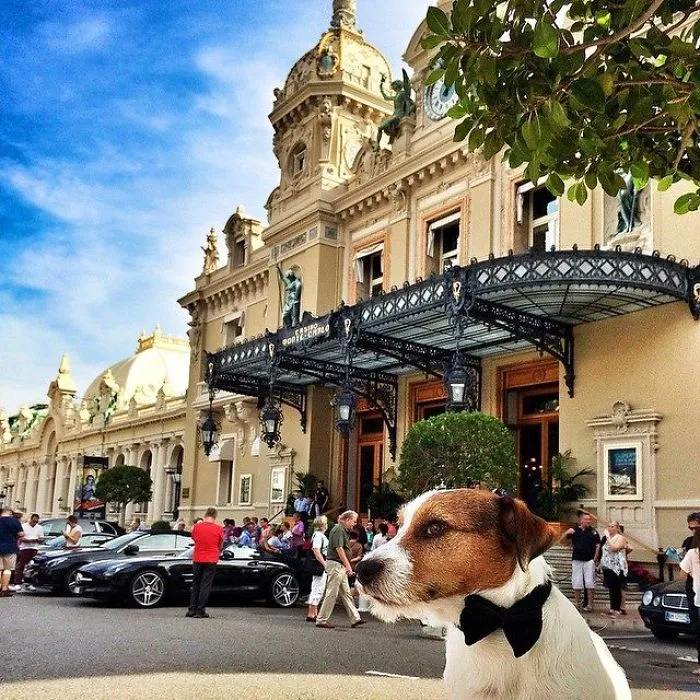 My Name Is Monk, James Monk. Agent Double-bone-7.  At Casino Monte-carlo, Monaco