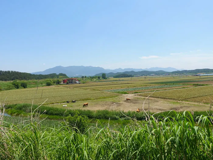 Countryside