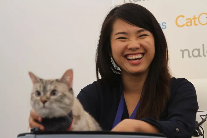 Cat Con Is A Thing, And You Definitely Want To Experience It!