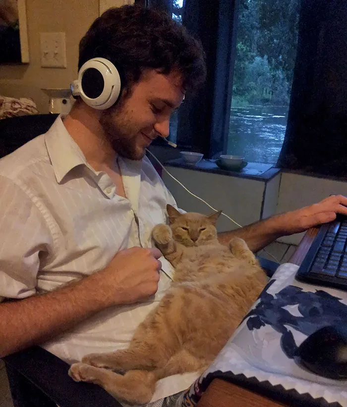 El Novio No Es, Supuestamente, Una Persona De Gatos