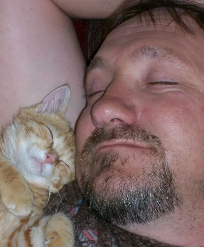 Mi Padre Jura Que Odia A Los Gatos