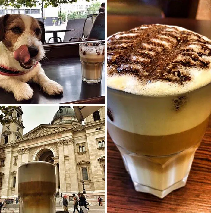 Latte Brake. Budapest, Hungary