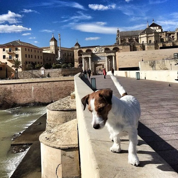 Mr. Traveller Reporting From Córdoba, Spain