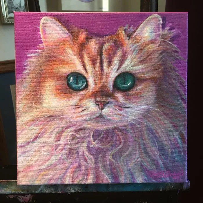 Smoothie The Cat