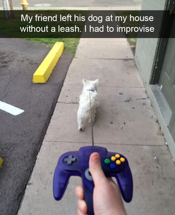 142 Hilarious Dog Snapchats That Are Impawsible Not To Laugh At (Part 3)