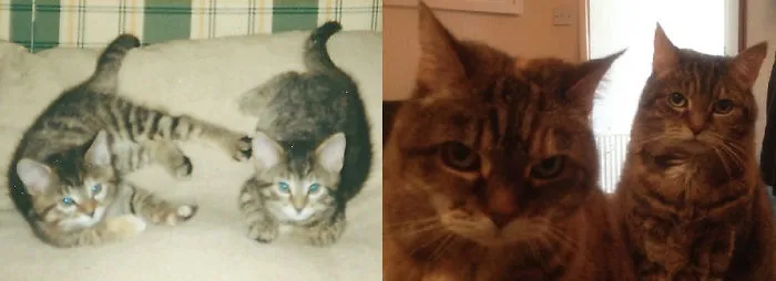 In 2000 And In 2017