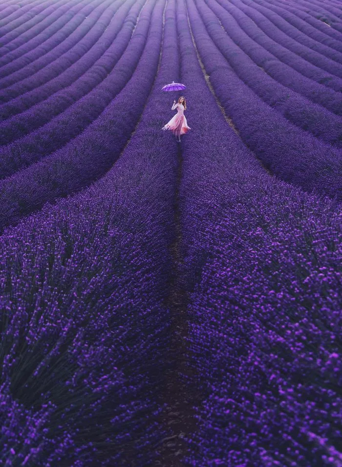 Valensole, Provenza, Francia. Modelo: Svetlana