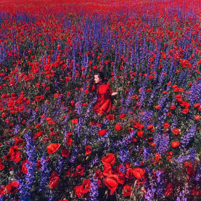 Campo de amapolas y espuelas de caballero, Crimea
