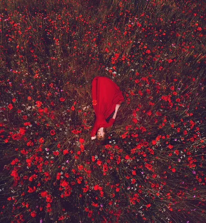Campo de amapolas, Crimea