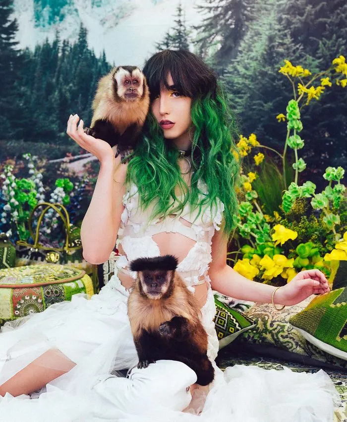  Monkeys 