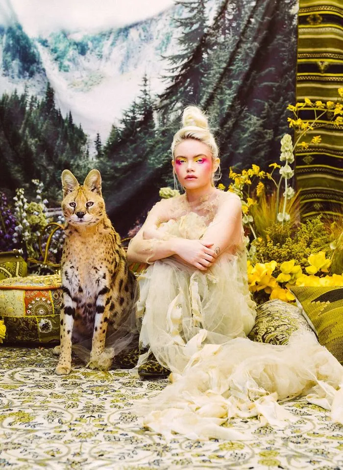  African Serval