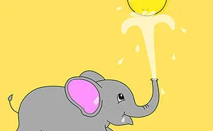Cute Animals