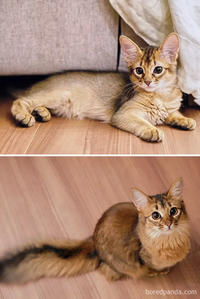 Beautiful Lucina Then And Now