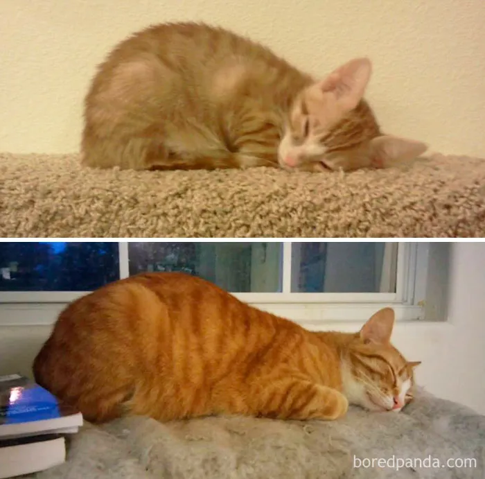 2 años de diferencia