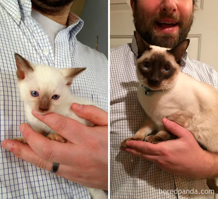 1 Year Later