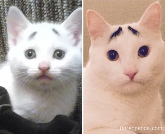 Sam Then And Now