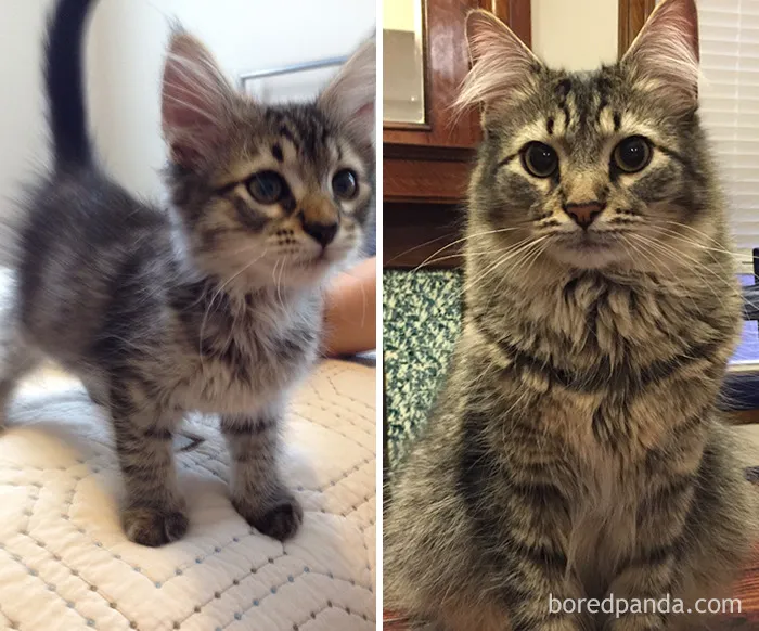 One Year Later